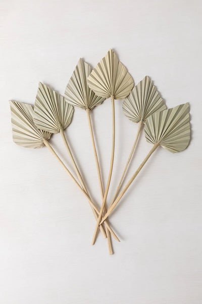 Set Of 6 Dried Leaves