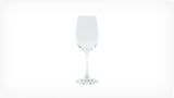 Crisp White Wine Glass